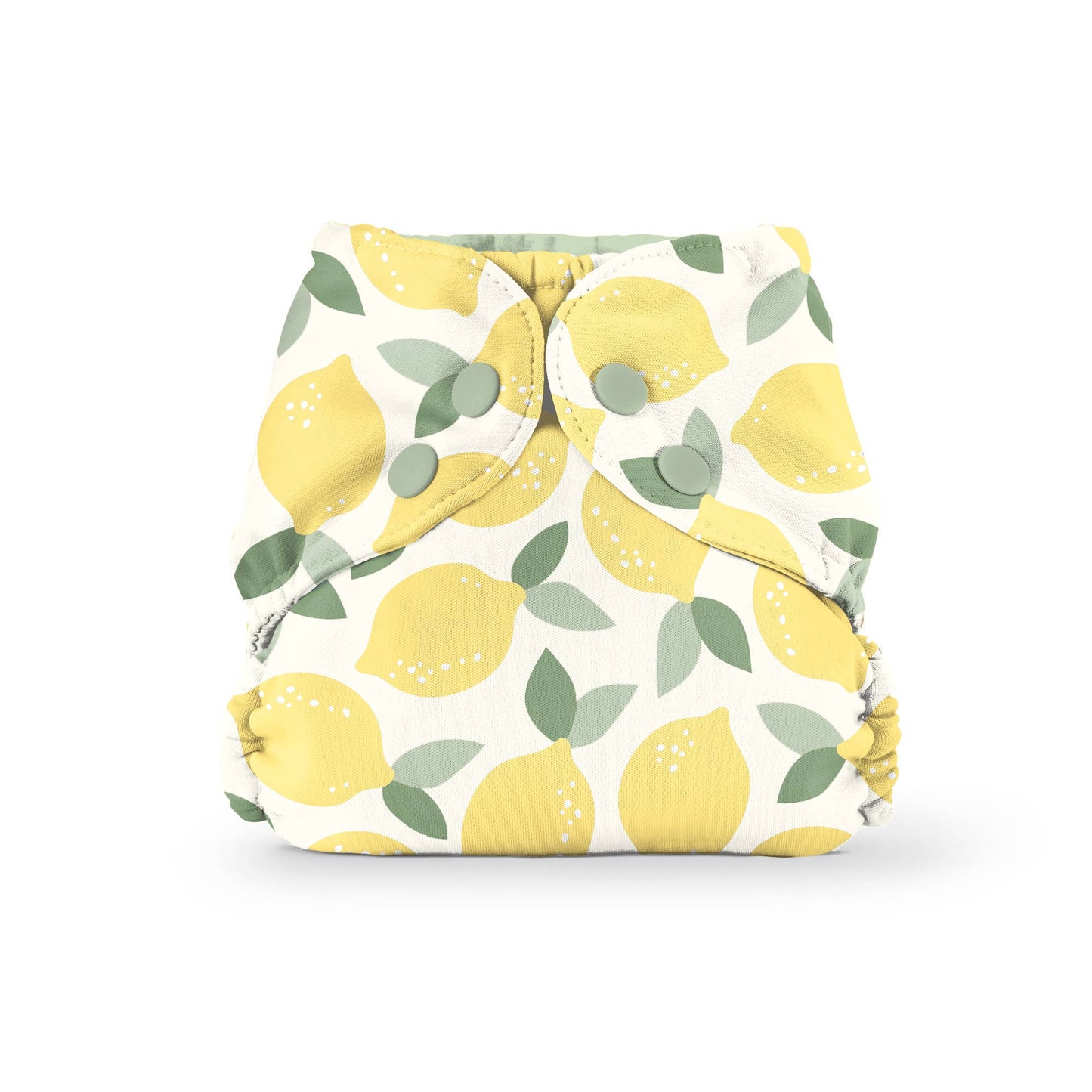 Outer (+ Swim Diaper): WWF Strawberries / One