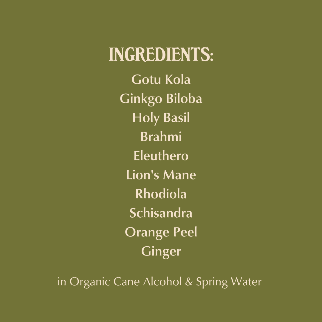 Brain Fog - Focus & Memory Tincture