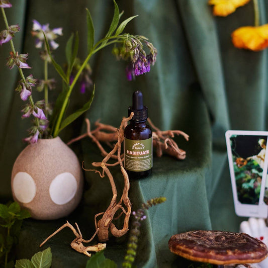 Habituate - Nervous System Tincture