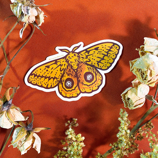 IO Moth 3" Vinyl Sticker