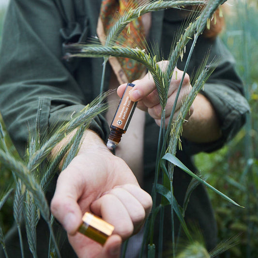 Scent's of the Earth - Natural Perfumes: Tobacco Vanille