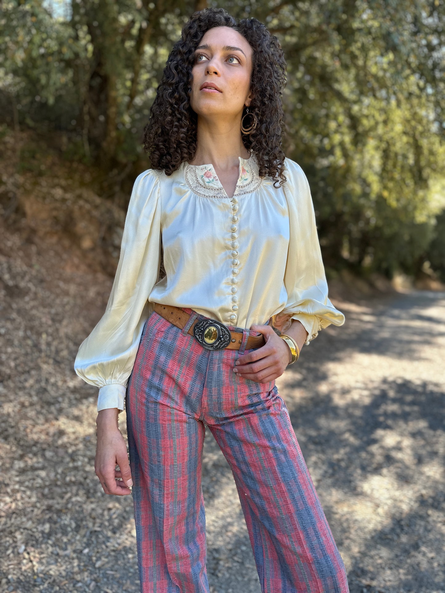 1970s Levis Pink and Blue Plaid Pants