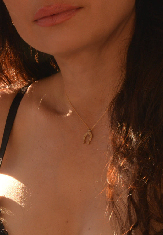 The Lucky charm necklace: Gold filled/bronze