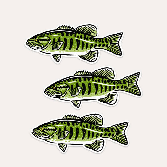 Smallmouth Bass Fish - Vinyl Sticker