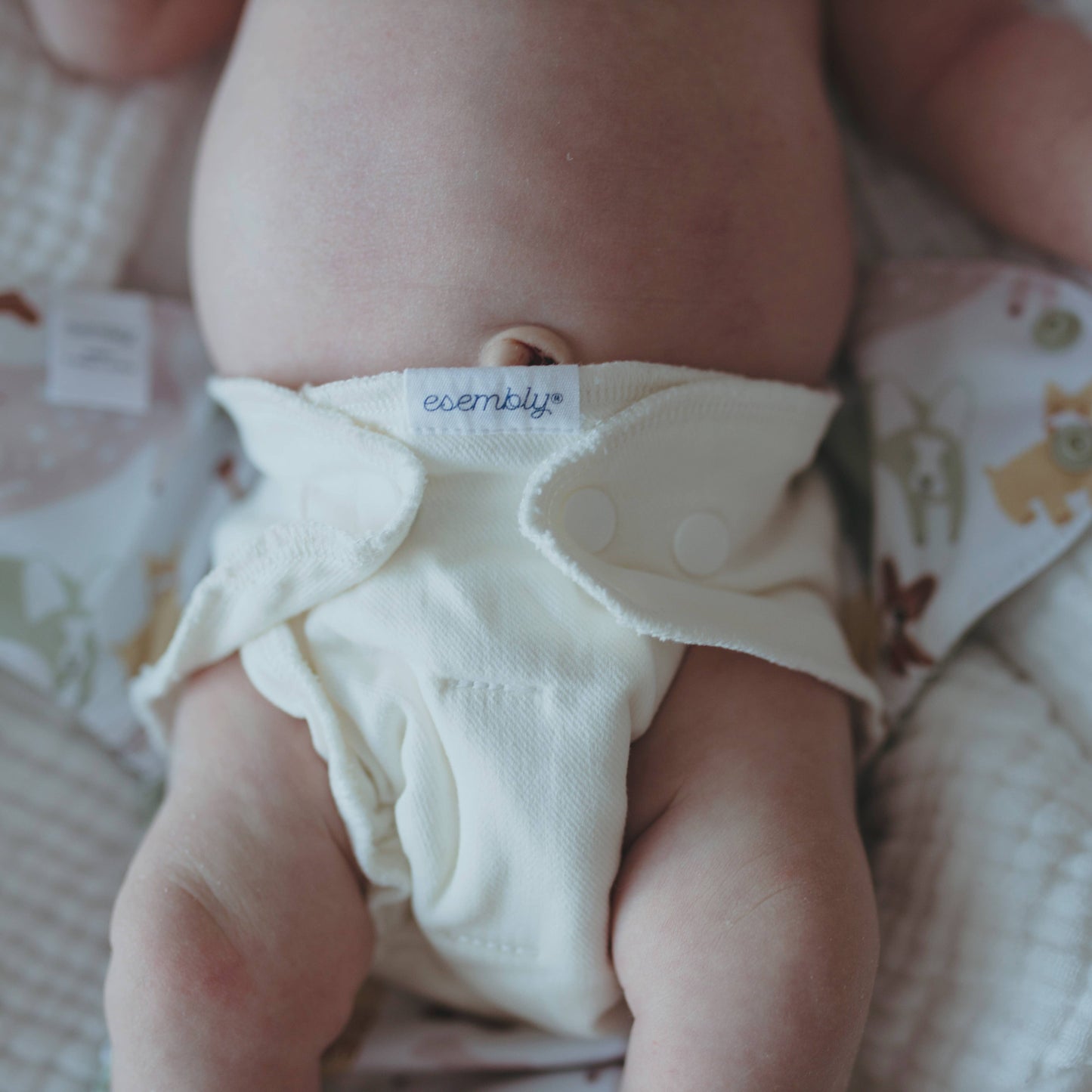 Snap Inner - 3 pack Cloth Diaper: Size 1 (7-17 lbs)