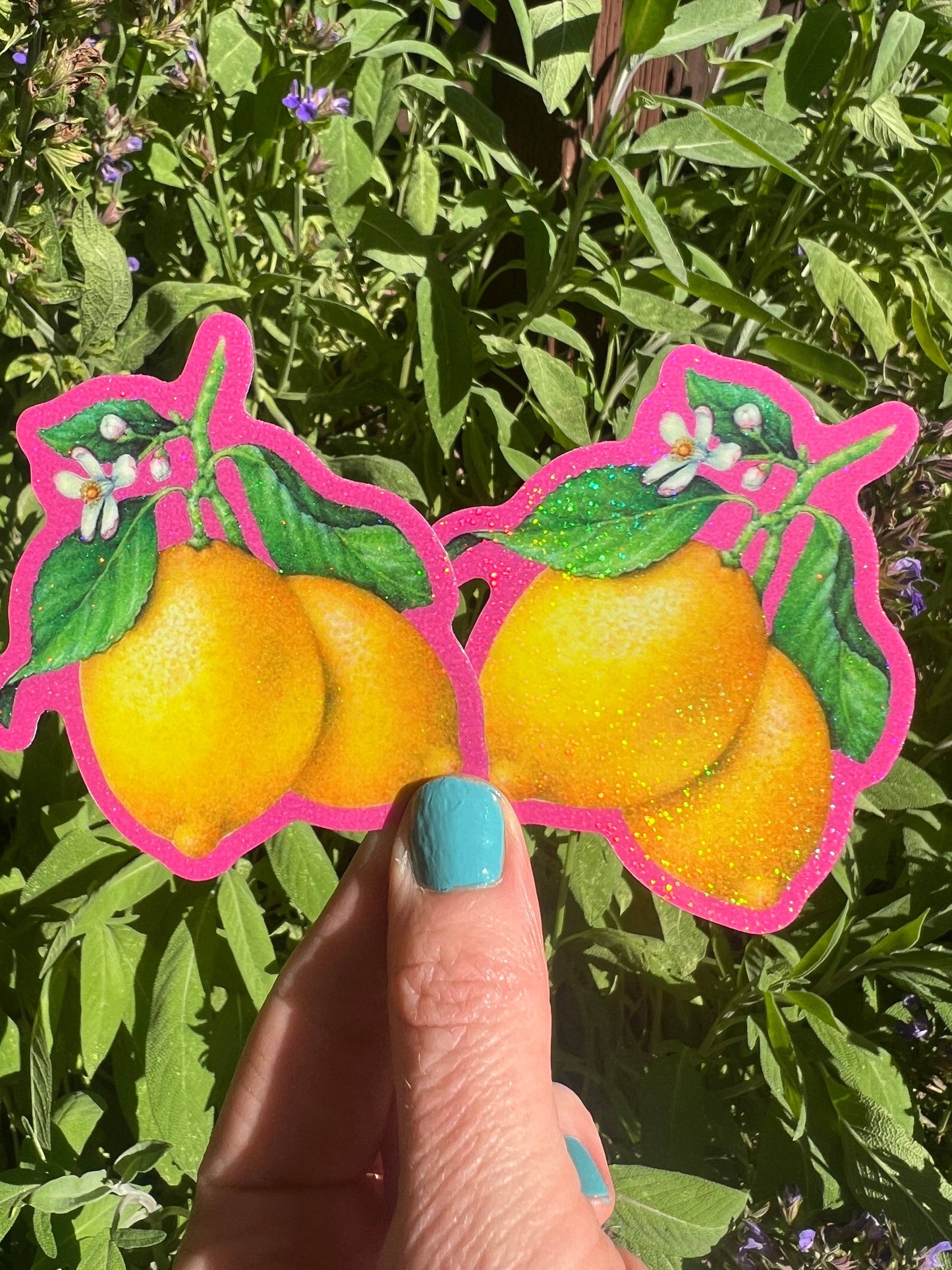 Lemons (Racy) STICKER 3 Inch