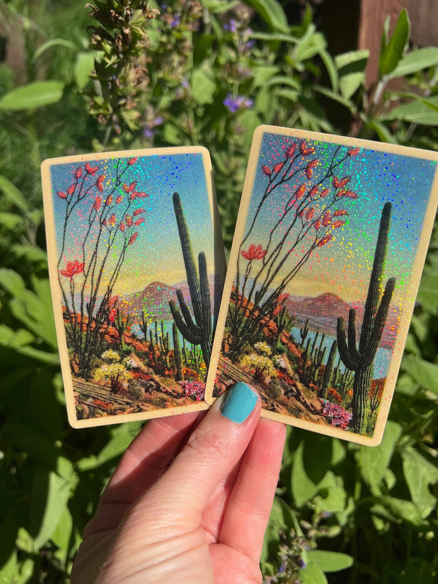 Desert Plants STICKER 4 Inch