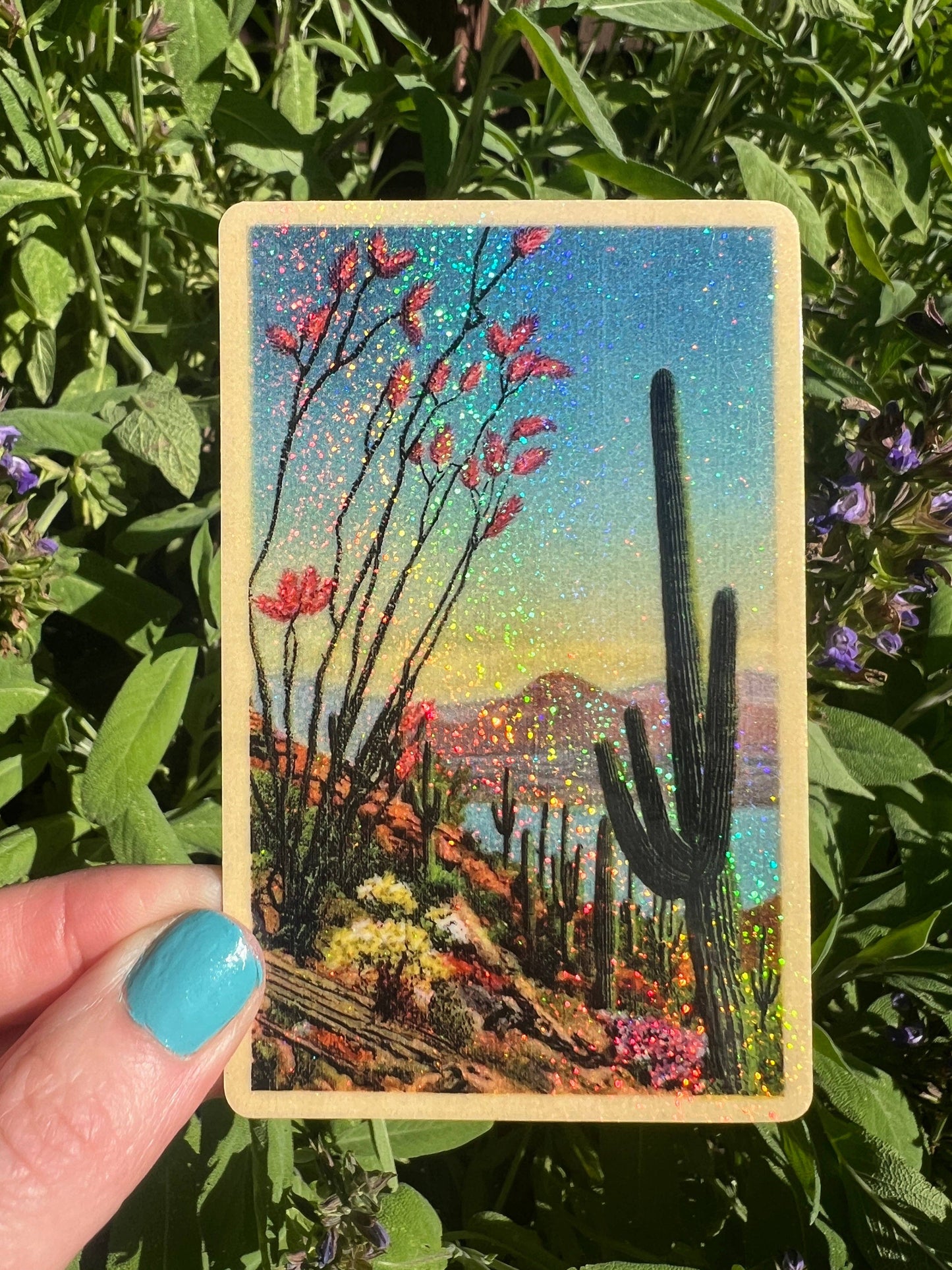 Desert Plants STICKER 4 Inch