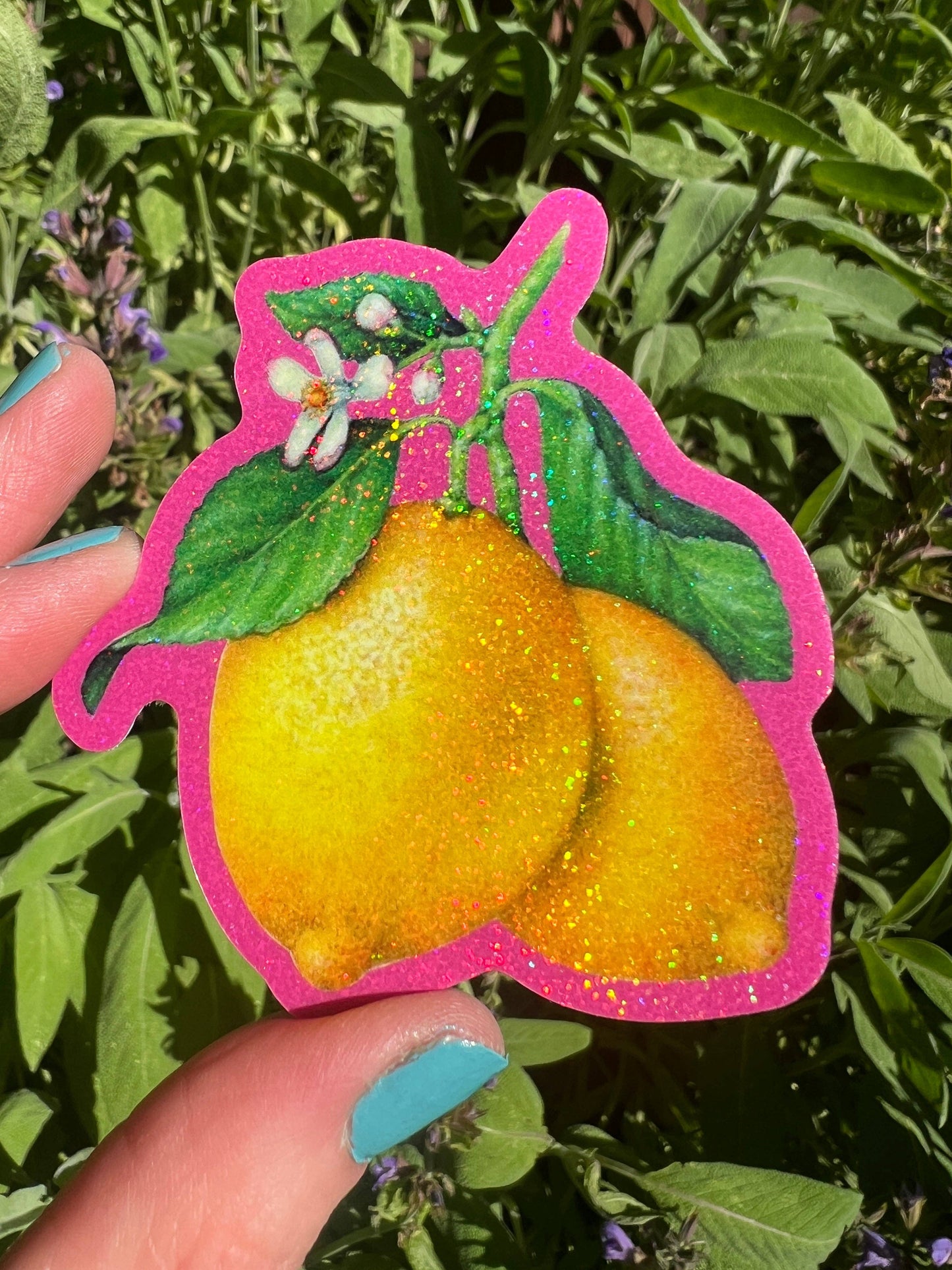 Lemons (Racy) STICKER 3 Inch