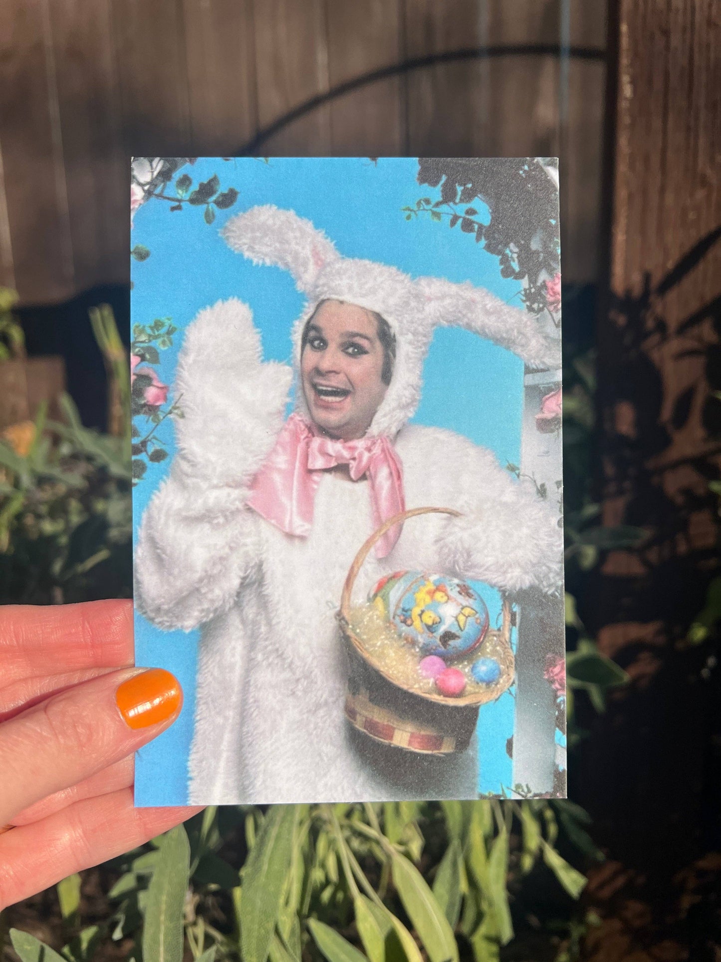 POSTCARD Ozzy Bunny