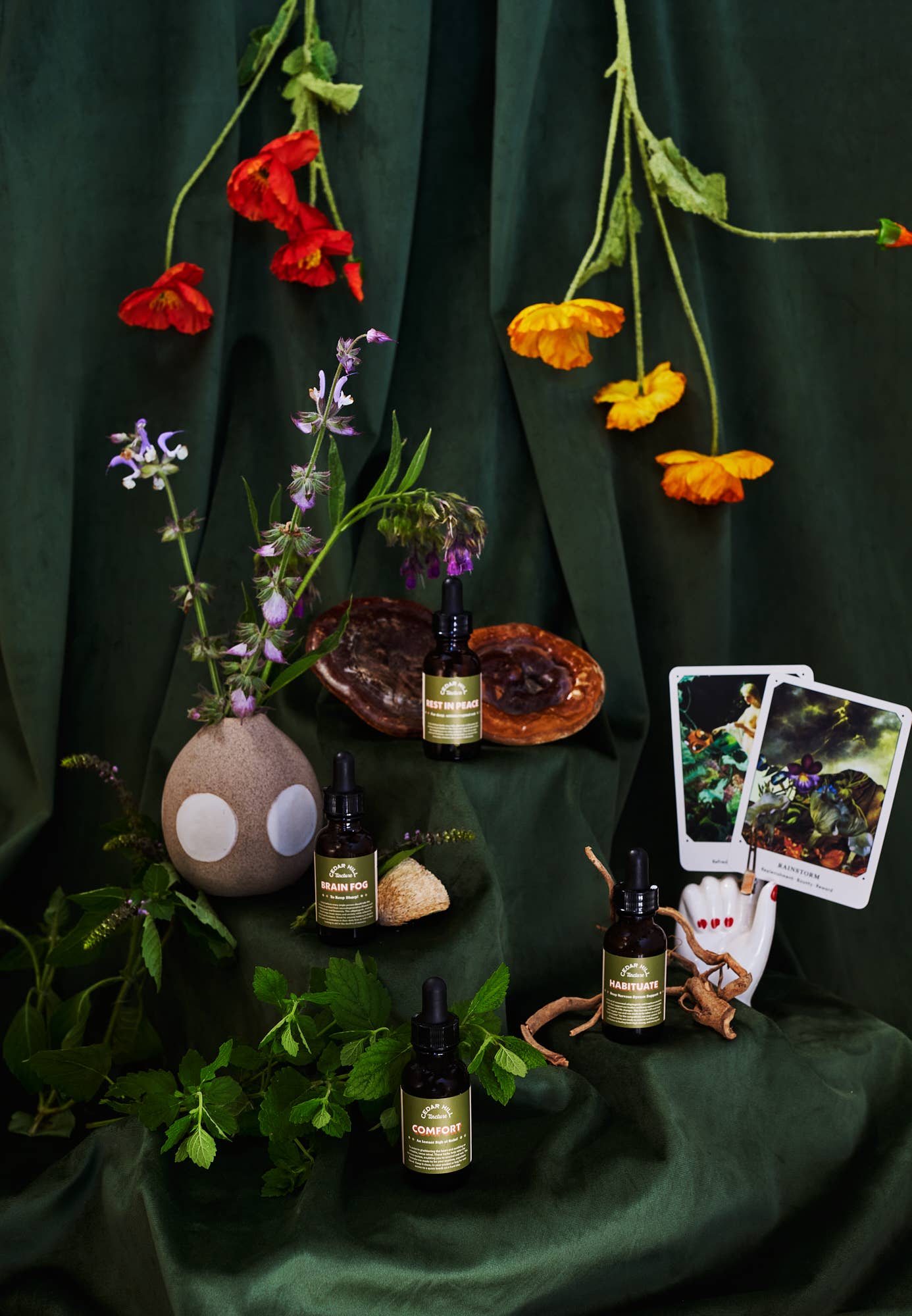 Brain Fog - Focus & Memory Tincture