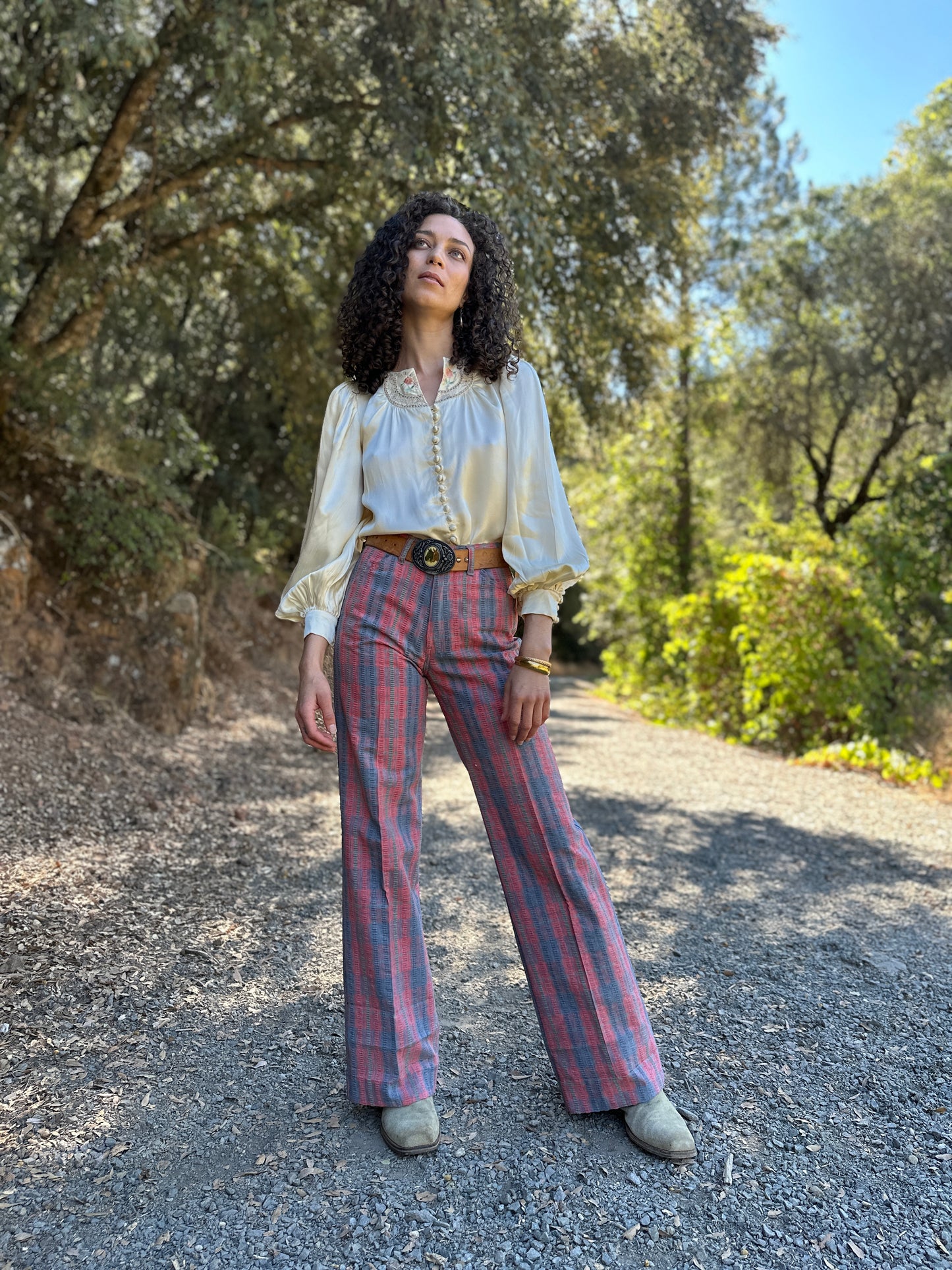 1970s Levis Pink and Blue Plaid Pants