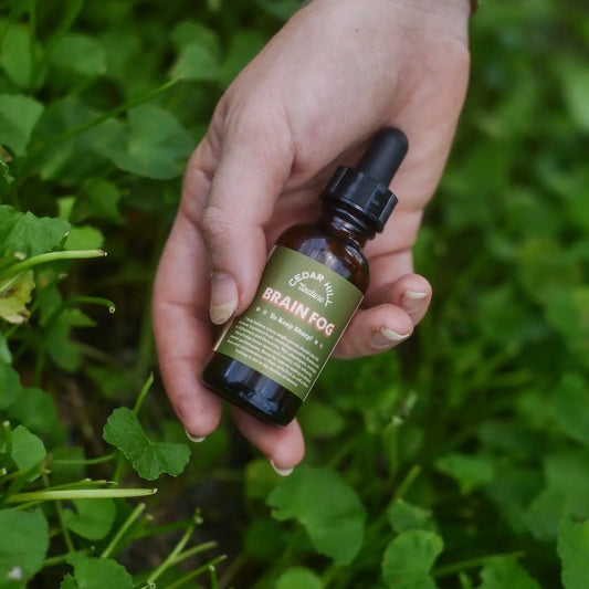 Brain Fog Tincture - Cedarhill Homestead