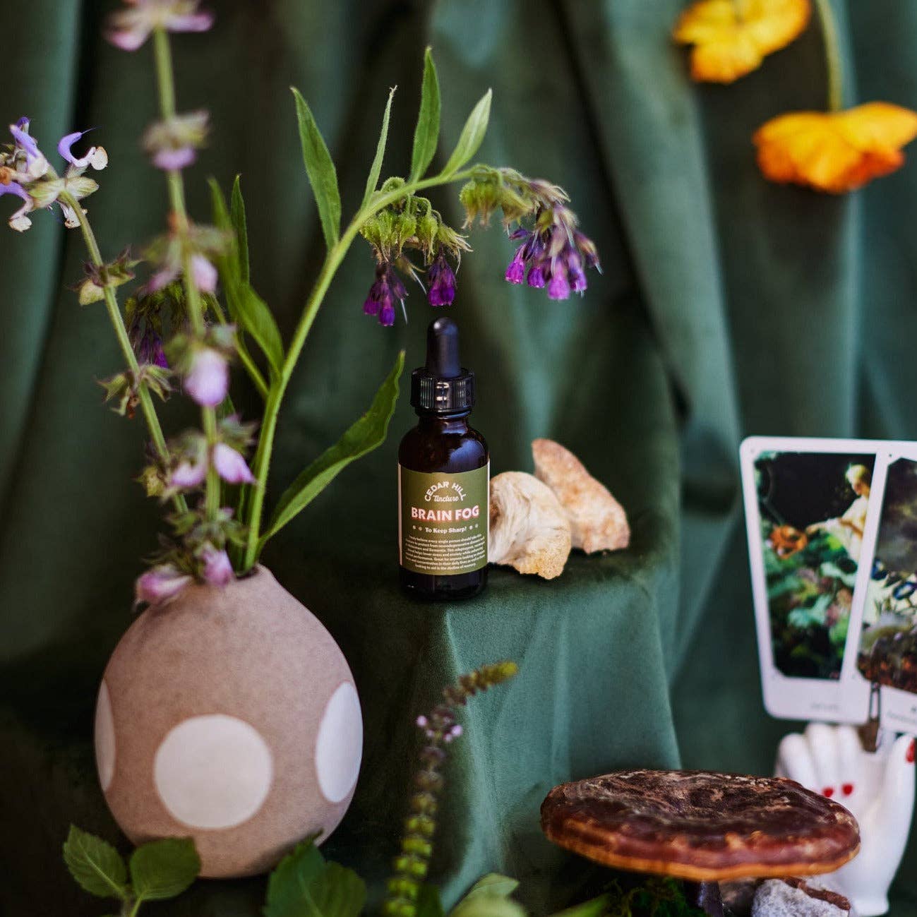 Brain Fog - Focus & Memory Tincture