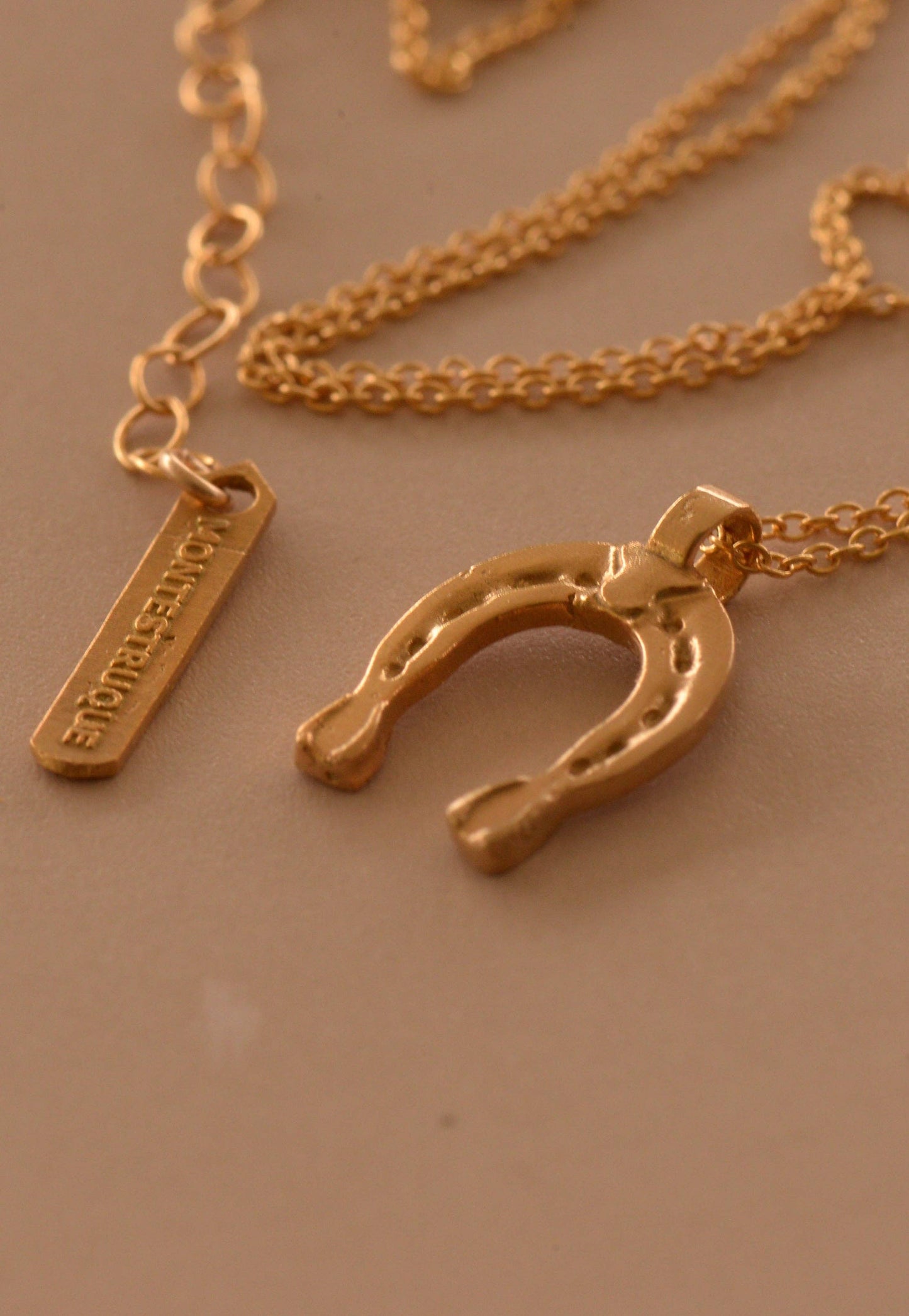 The Lucky charm necklace: Gold filled/bronze