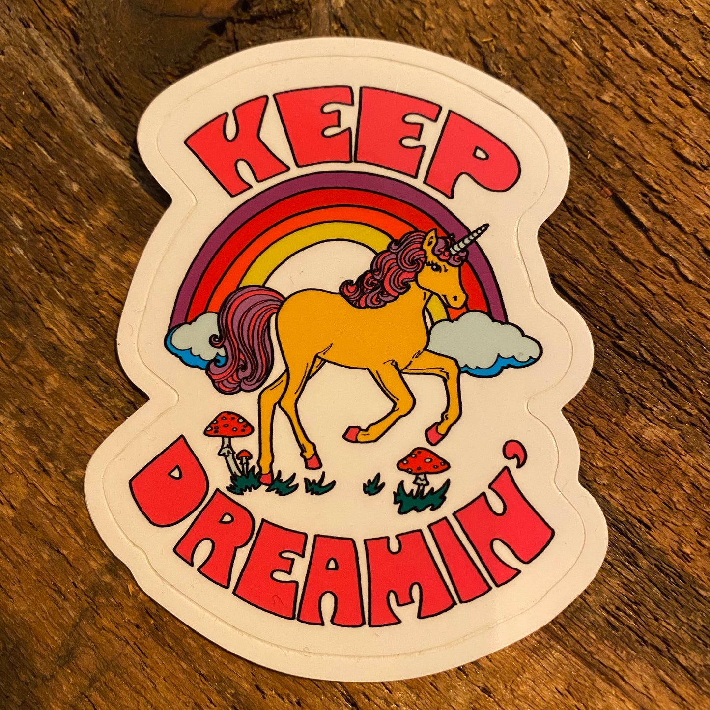 Keep Dreaming Sticker